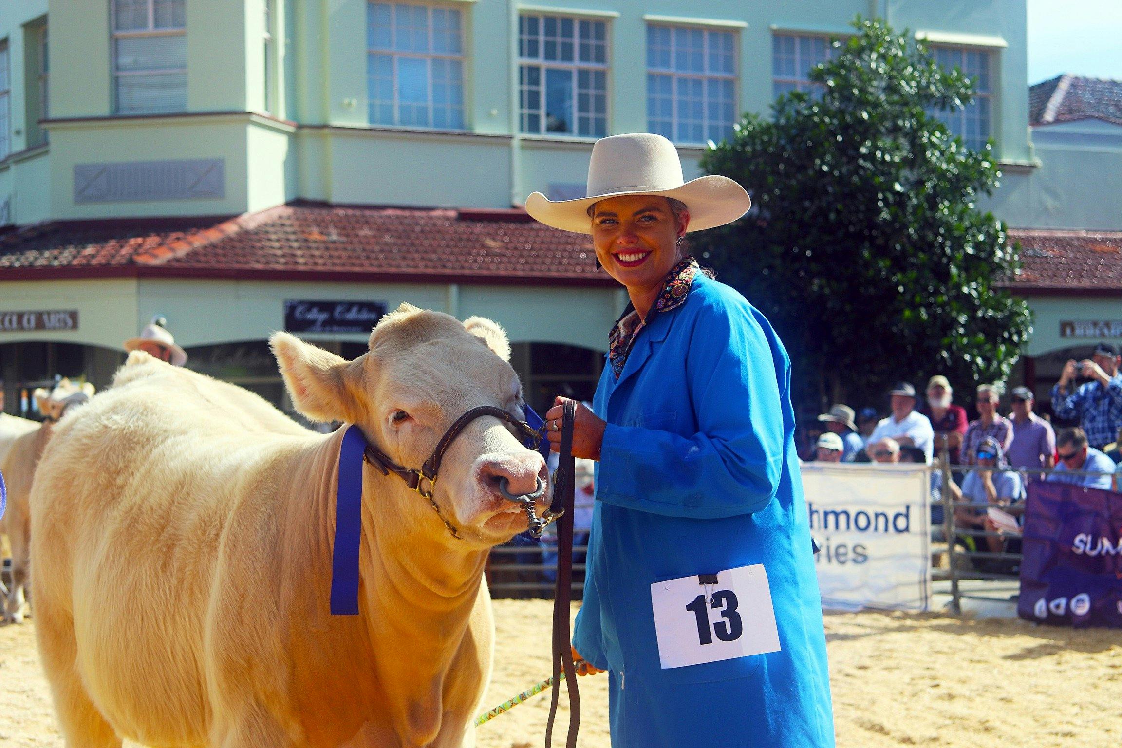 Casino Beef Week Cattle Show