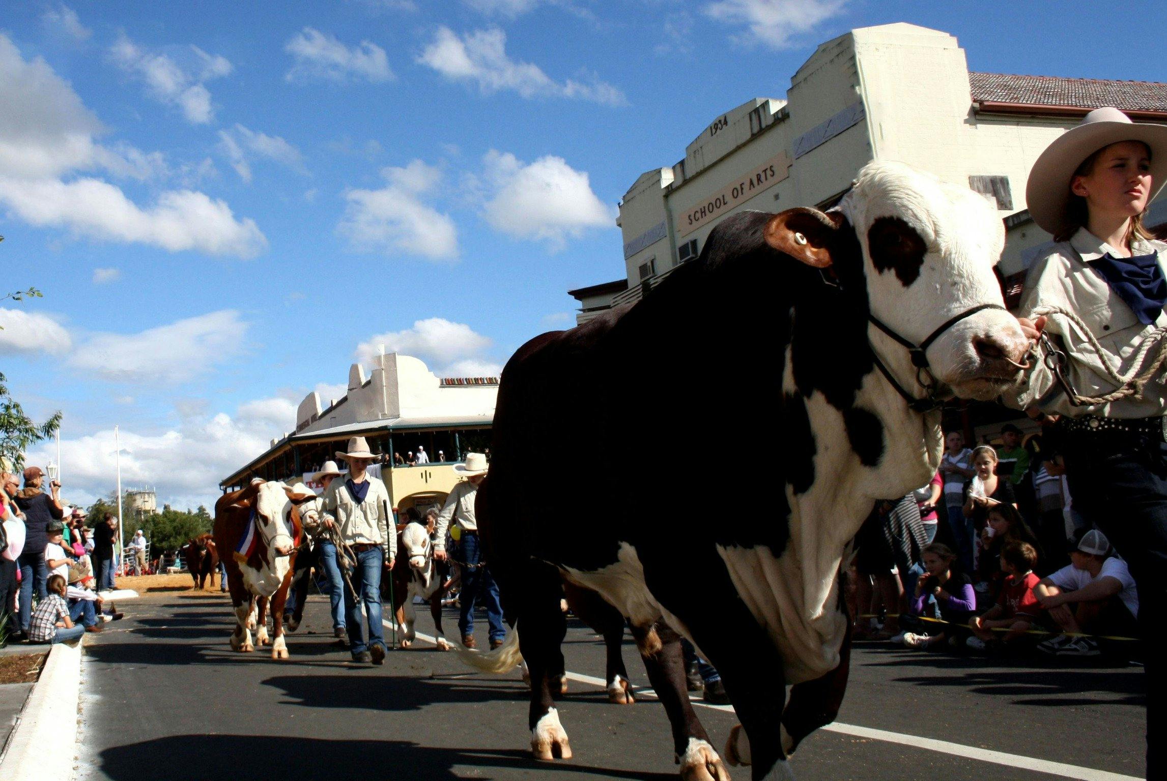 Casino Beef Week Cattle Street Parade