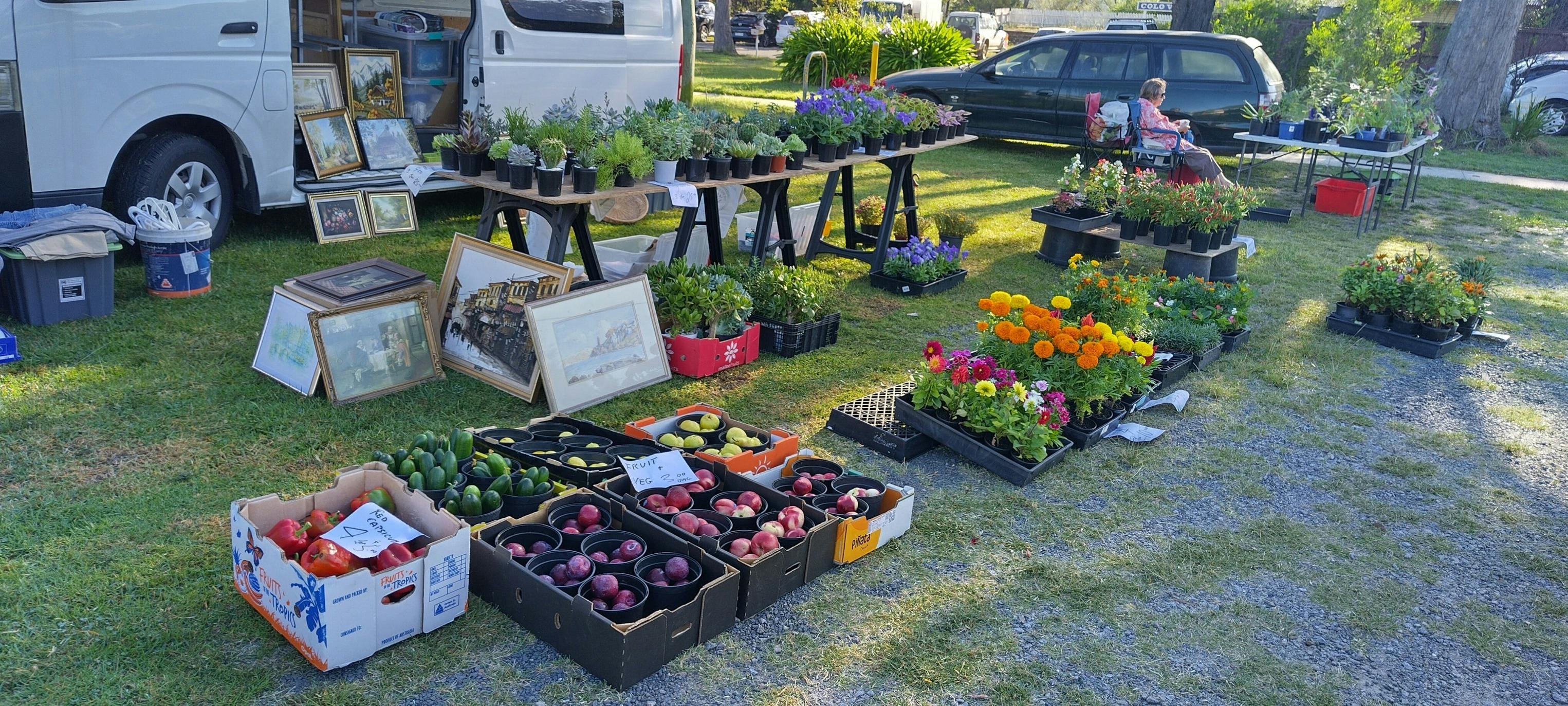 Colo Vale Village Market 1