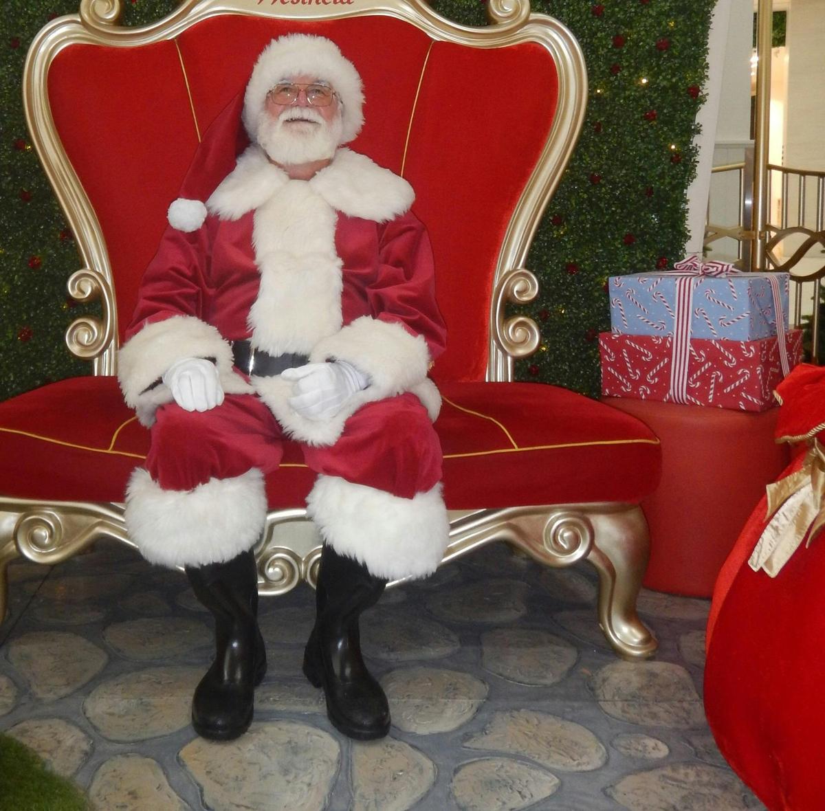Professional Santa