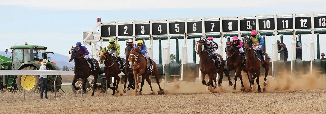 cooma races