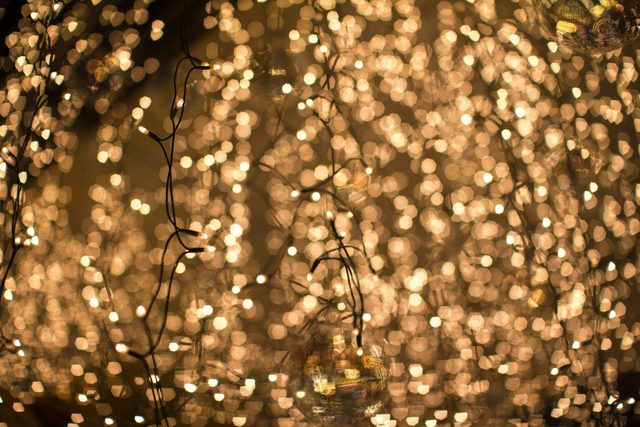 Christmas Luncheon Cruise