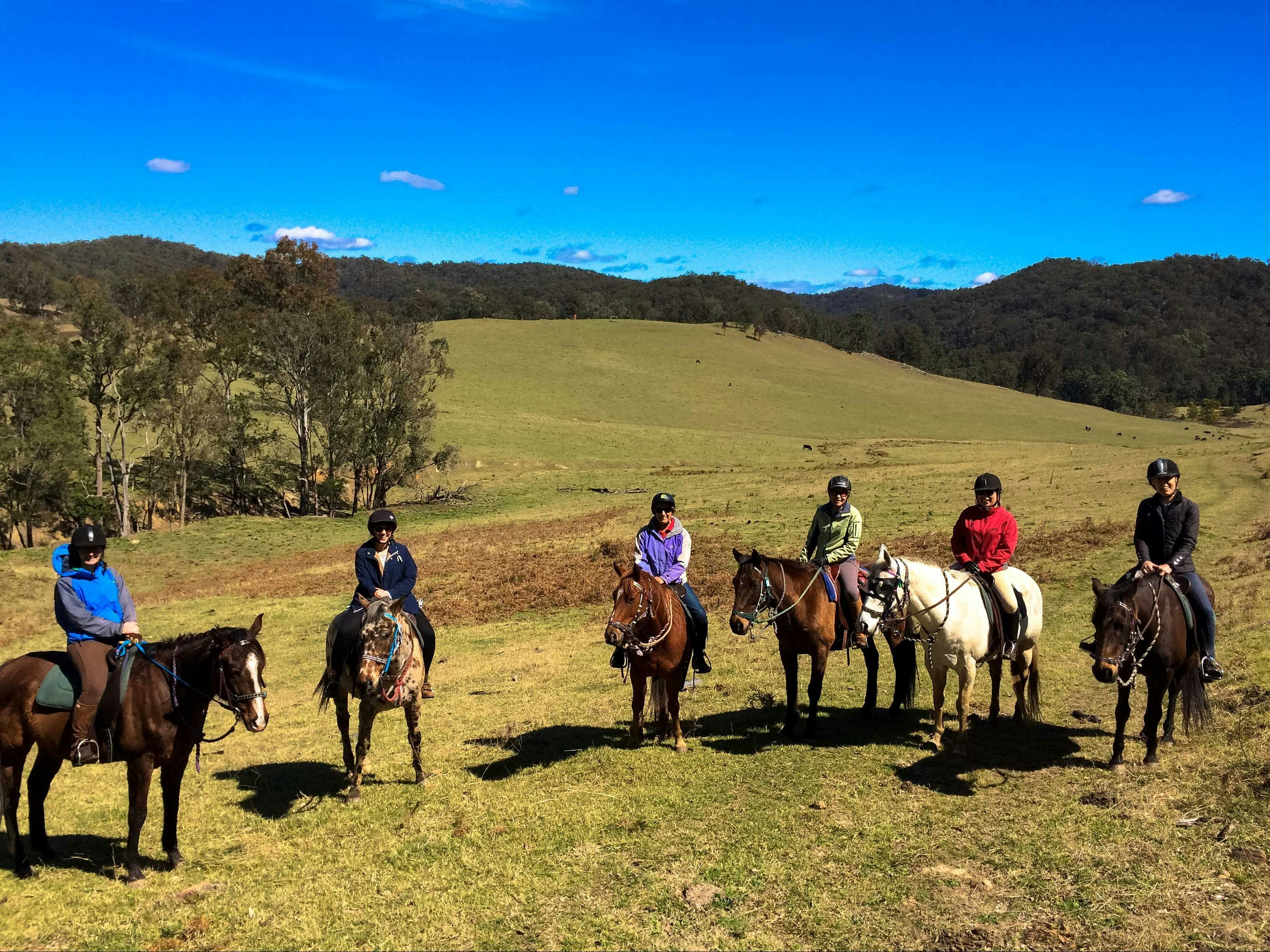 Chapman Valley Horse Riding - #1 in NSW