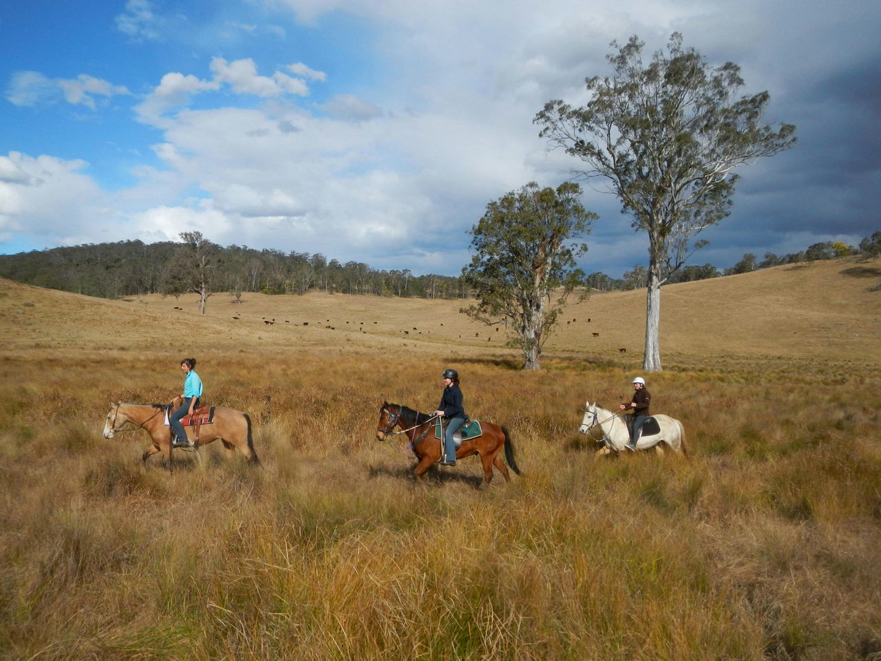 Wide Open Spaces - with beautiful scenery!