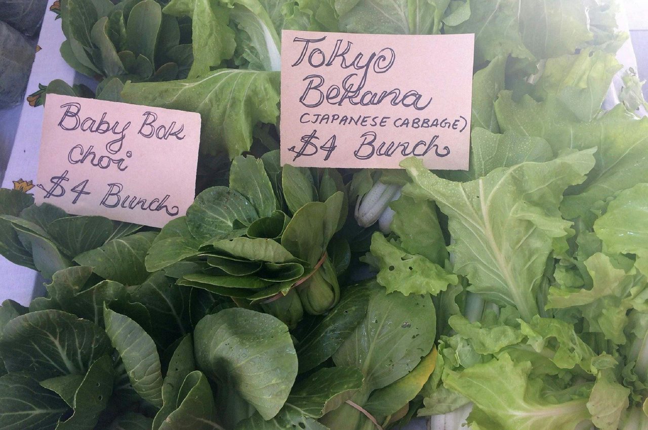 Captains Flat Market