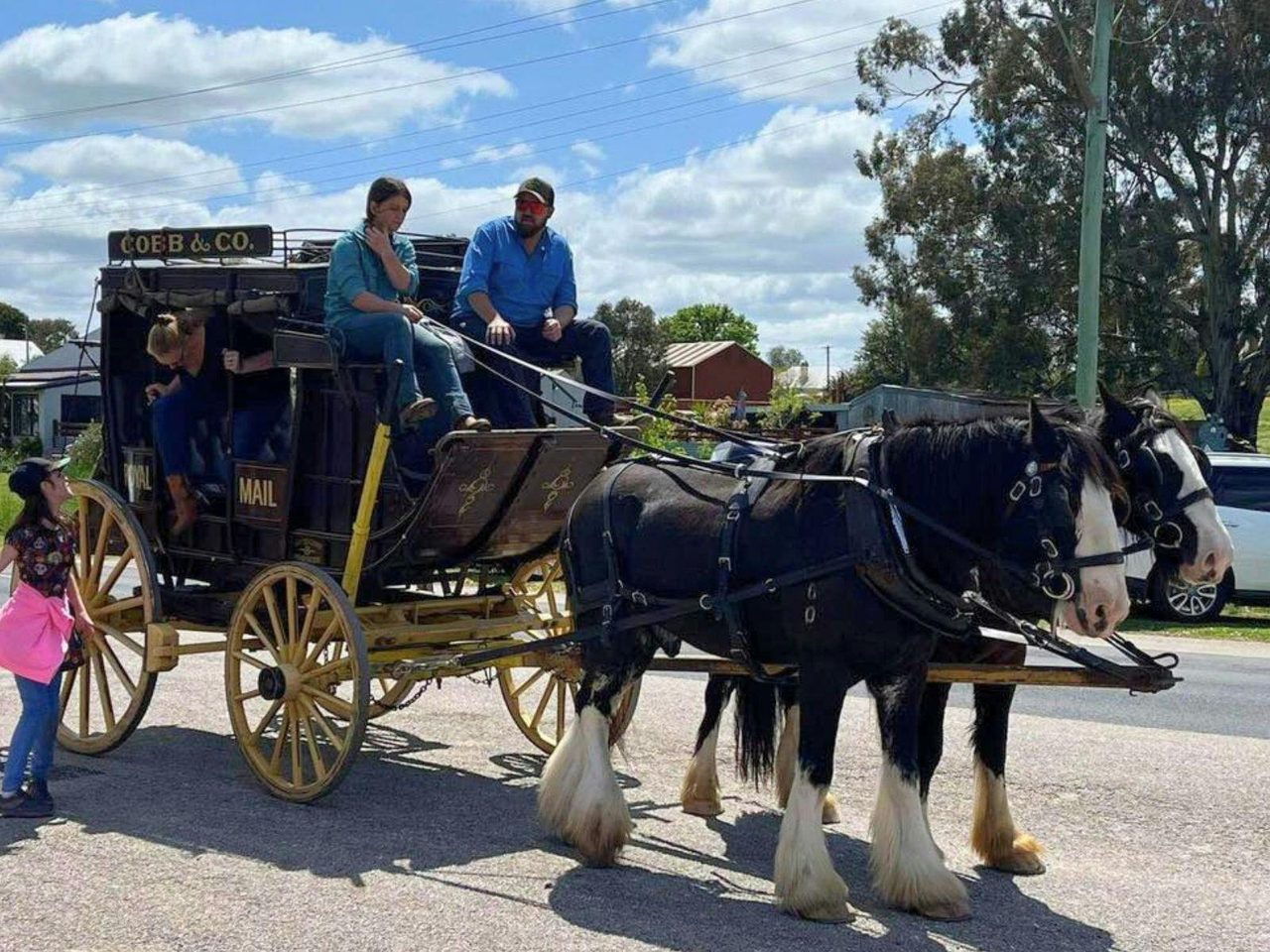 Horse-drawn Cobb and Co coach giving rides