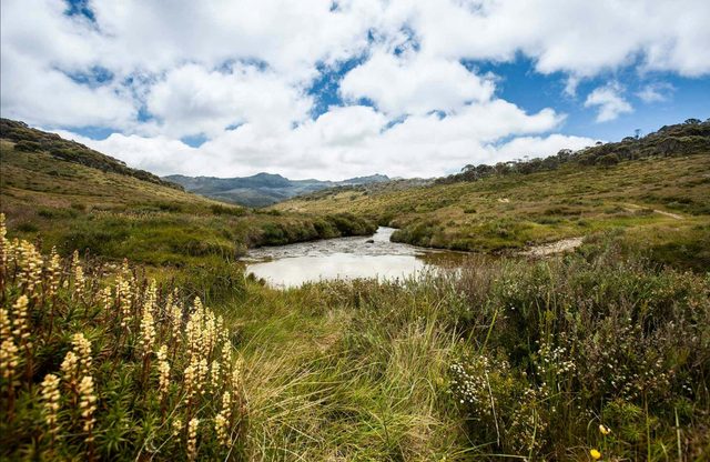 Cascade Hut trail