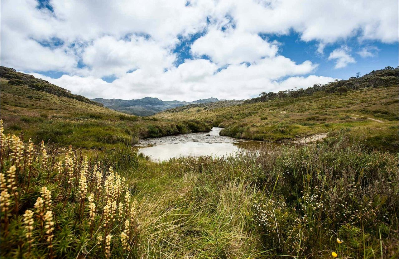 Cascade Hut trail