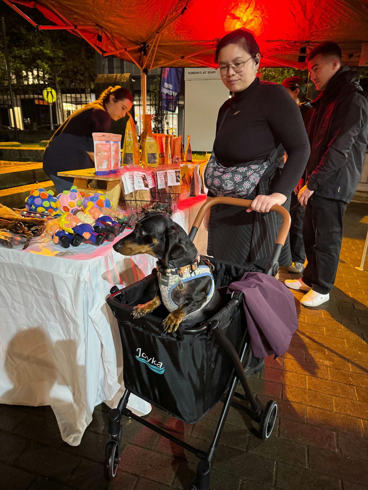 Doggie Treats