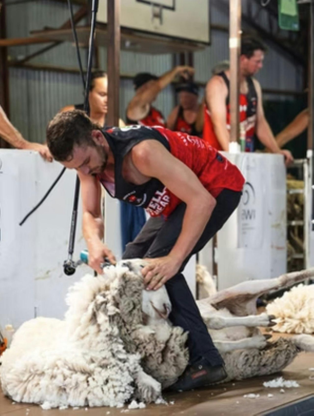 Crookwell Show