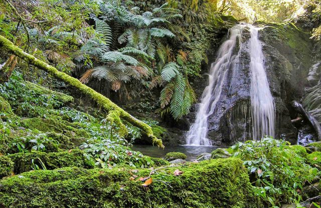 Cascades Walking Track