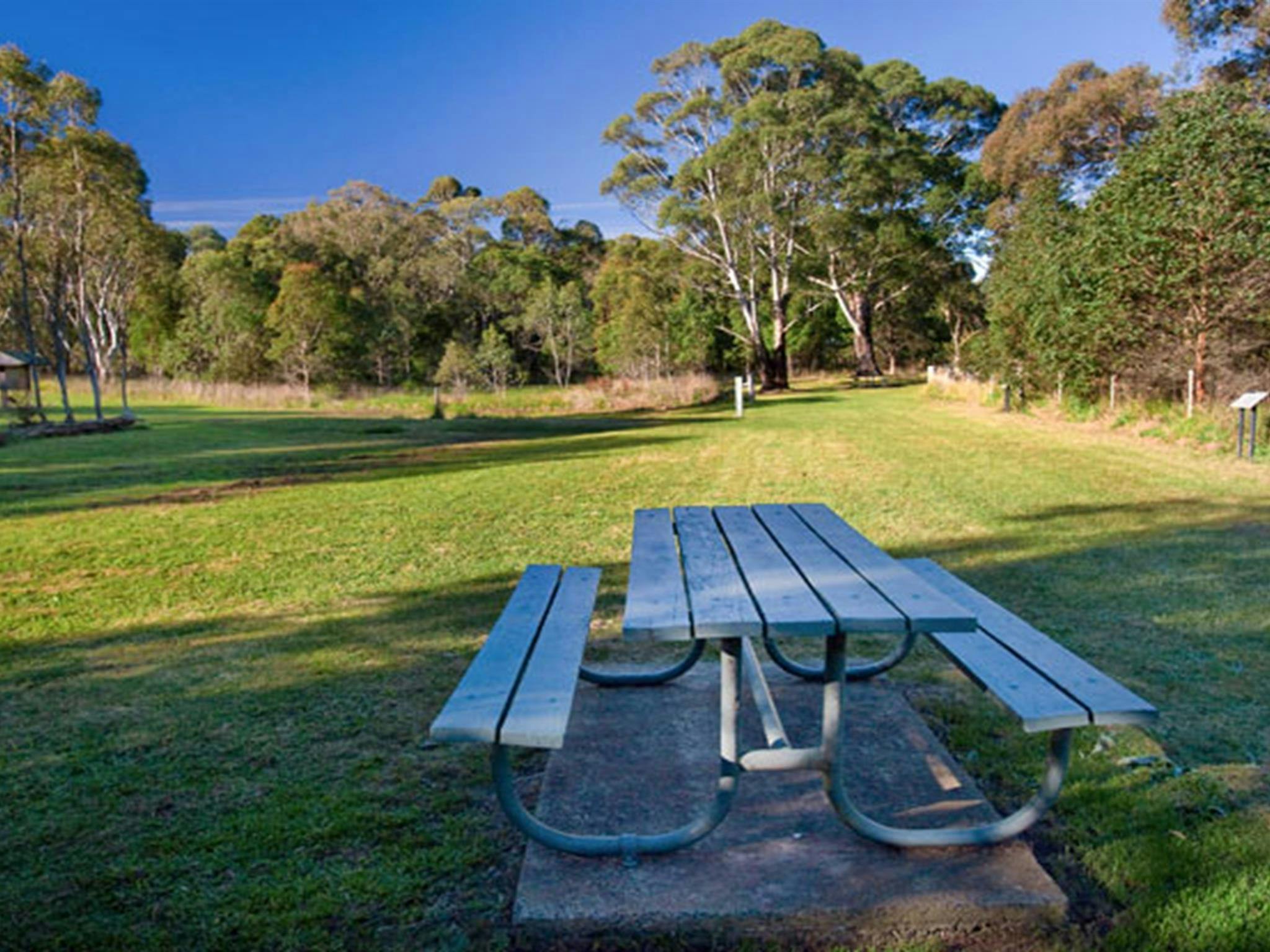 Cecil Hoskins picnic area, Cecil Hoskins Nature Reserve. Photo: Nick Cubbin &copy; OEH