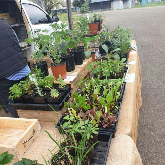 Cootamundra Sunday Markets