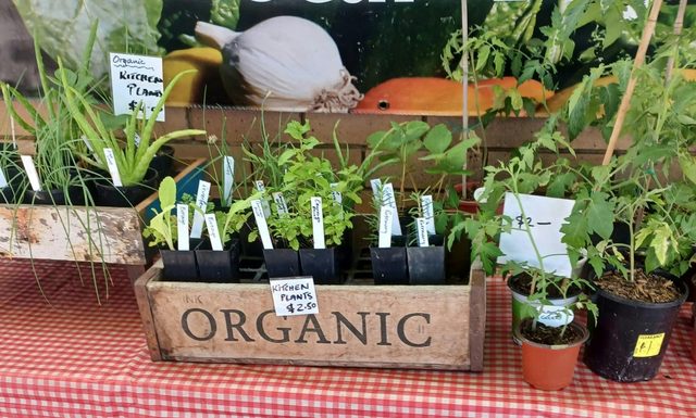 Dungog Local Growers Stall