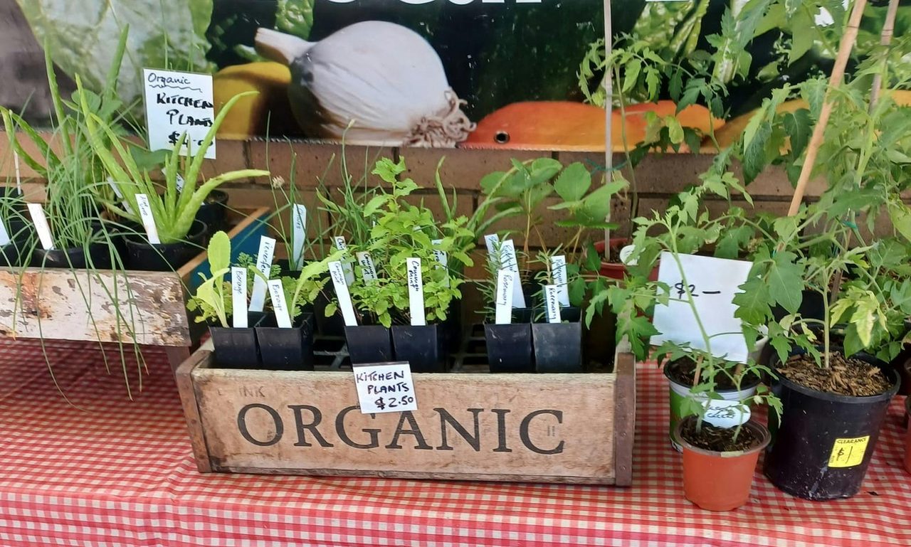 Dungog Growers Stall