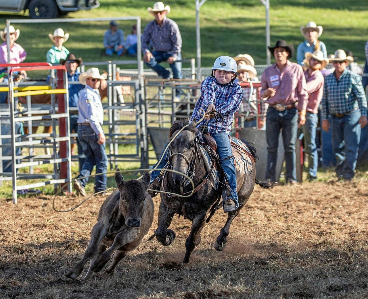 Dungog Rodeo