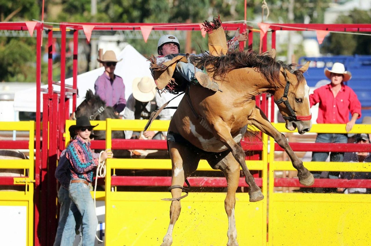Dungog Rodeo