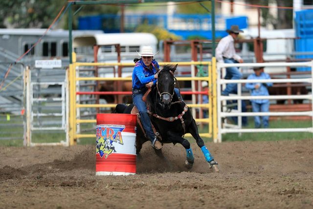 Dungog Rodeo