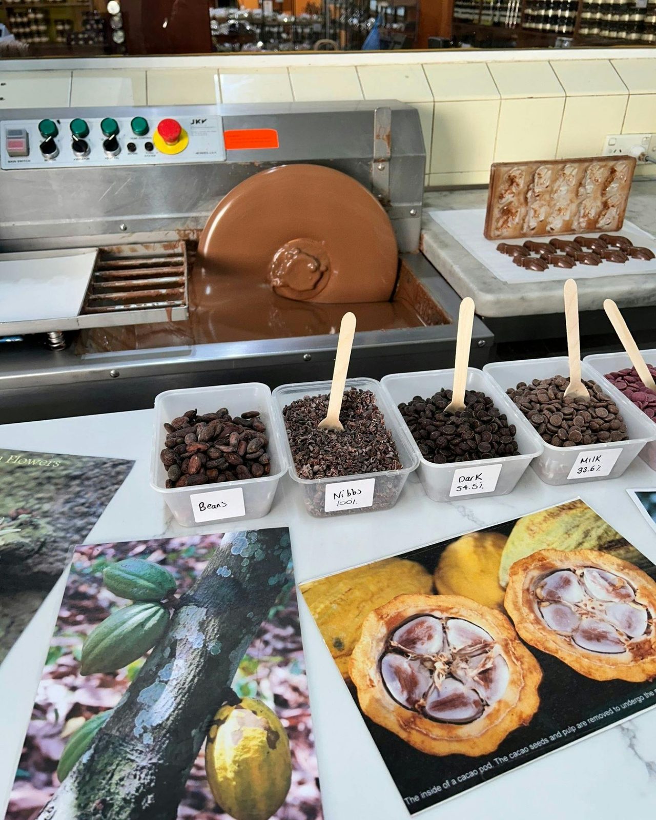 Chocolate education. The Treat Factory