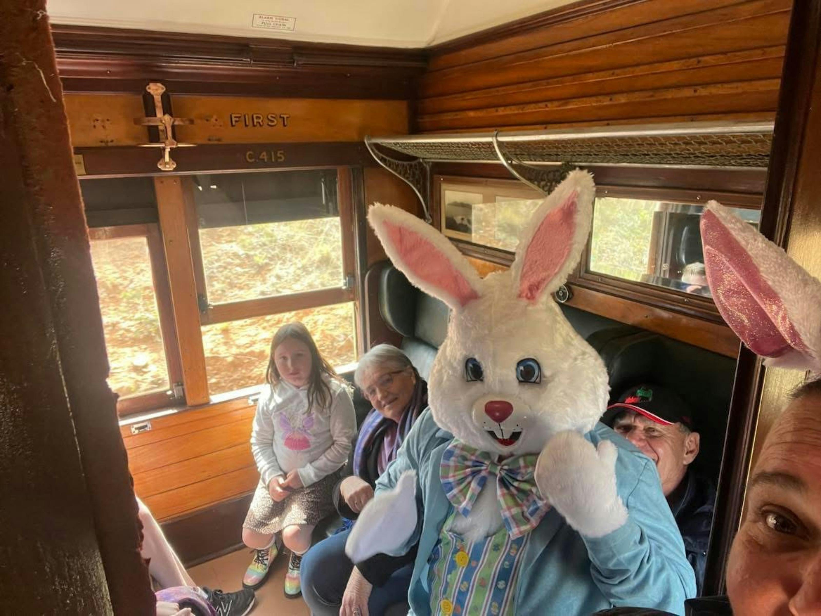 Cowra Train Rides edit2