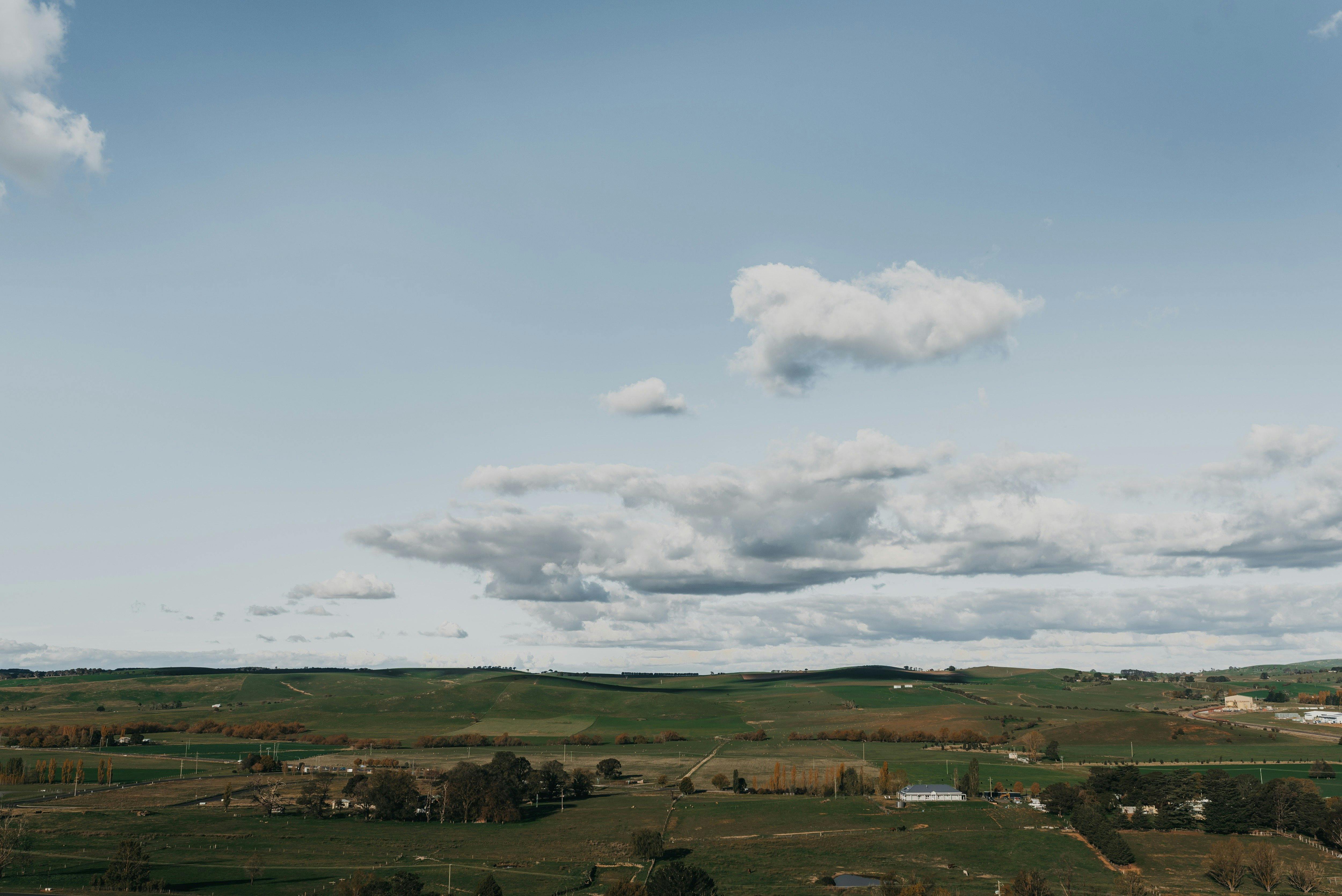 Lookout View