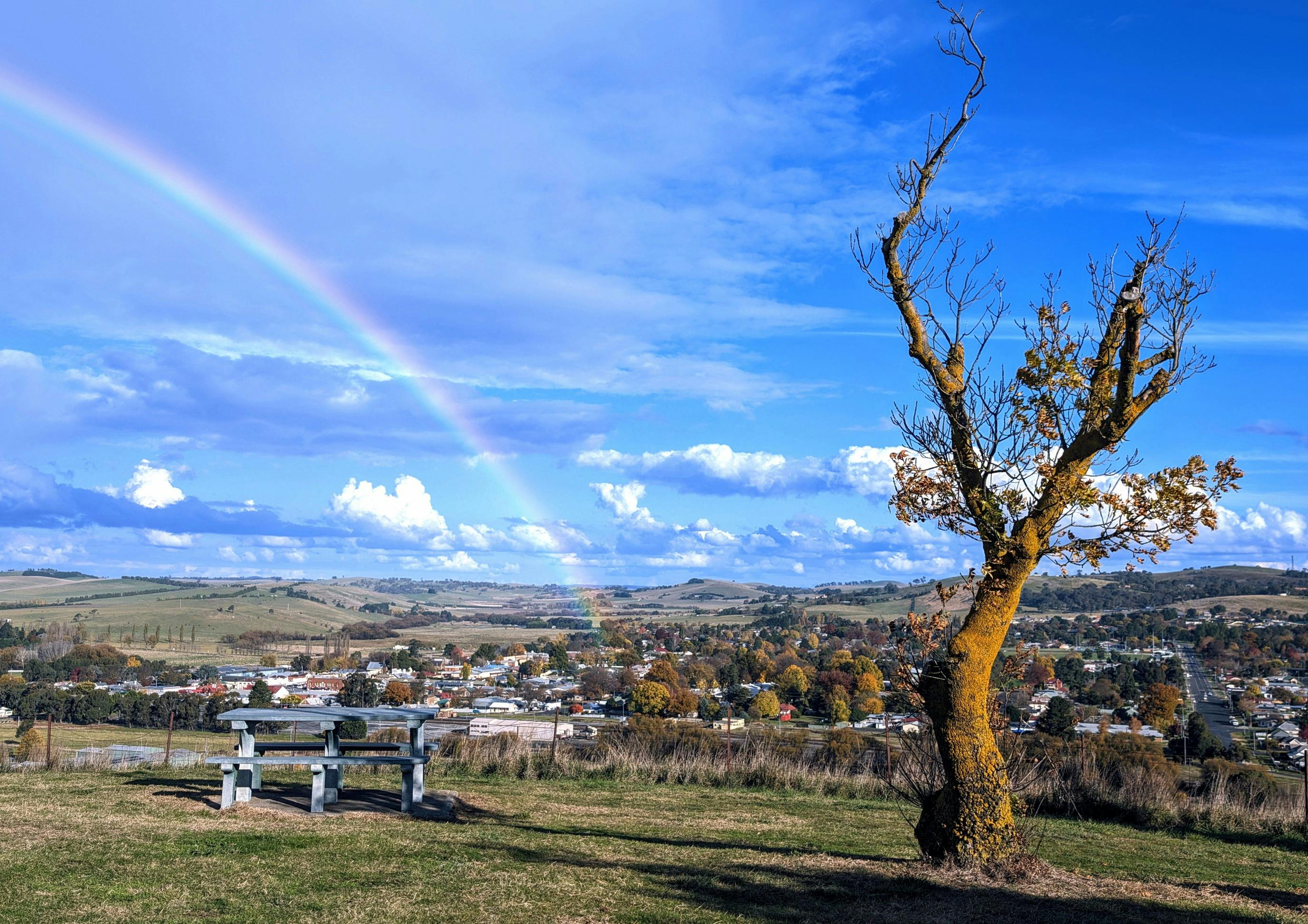 Picnic table and tree with no leaves and rainbow in background with blue sky