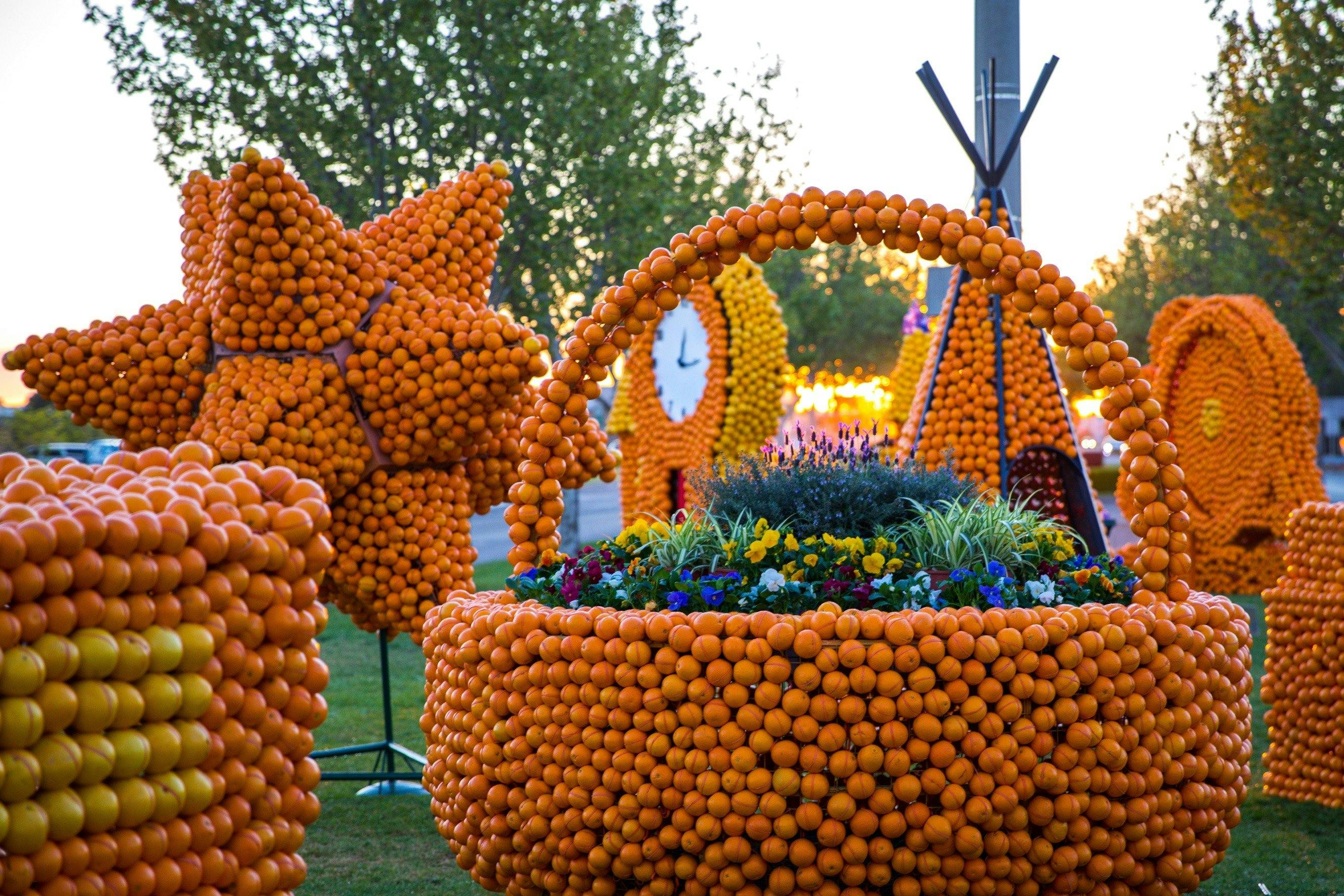 Griffith Citrus Sculptures street scene