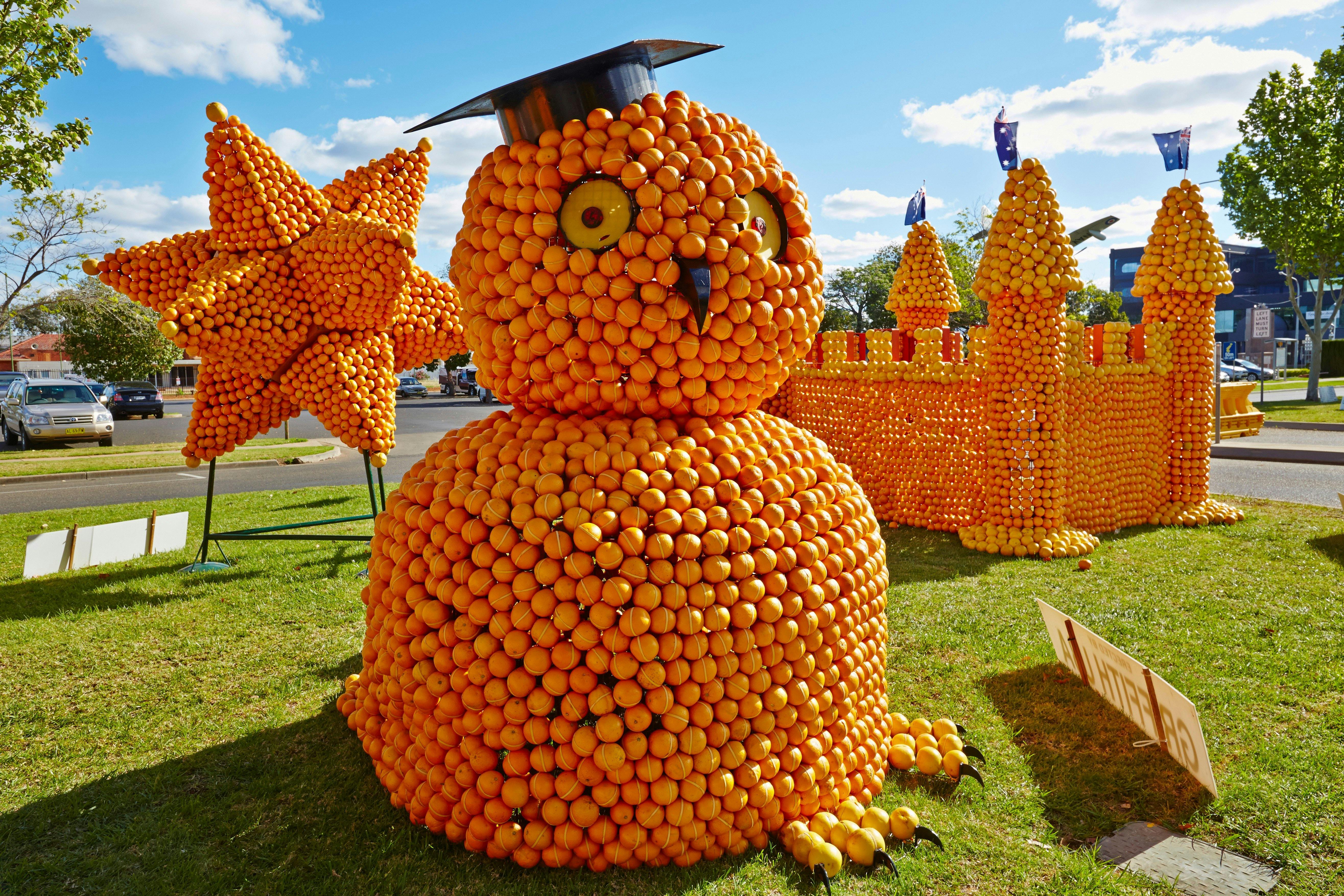 Griffith Citrus Sculptures Wise Owl