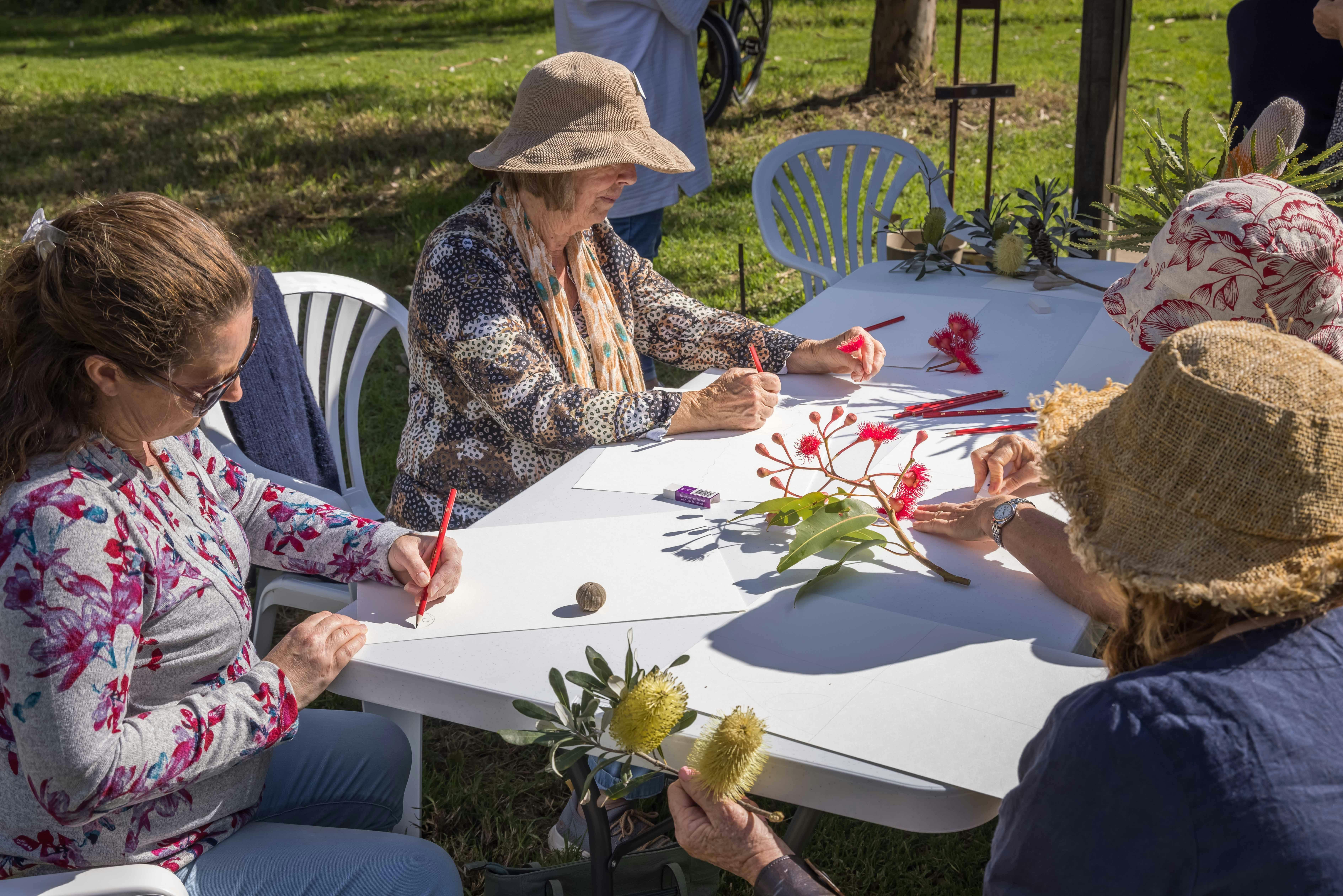 Botanical drawing workshop