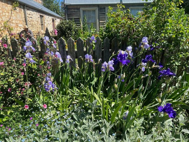 Goulburn Spring Gardens Festival