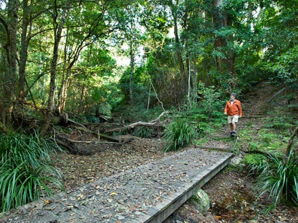 Cedar Park picnic area, Ngambaa Nature Reserve. Photo: Rob Cleary &copy; OEH