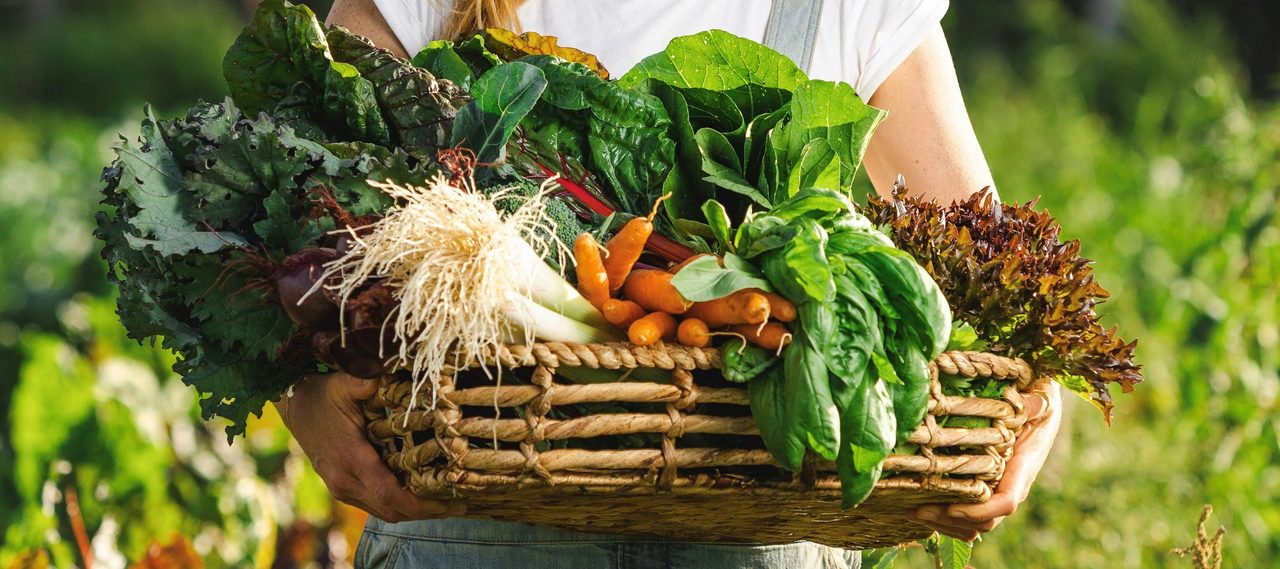 Homegrown Organics
