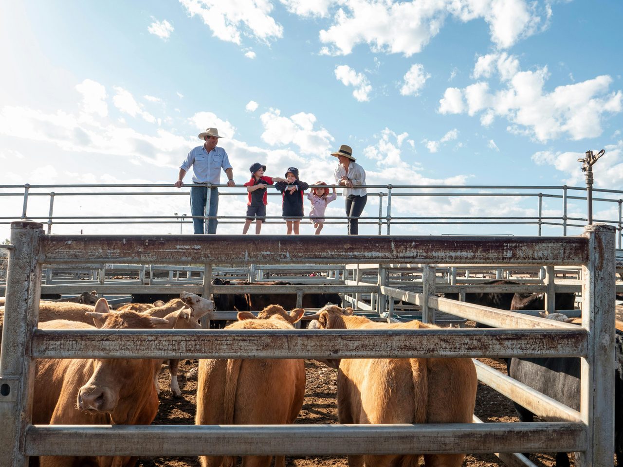 Local kids getting the morning off school to see their cattle sell