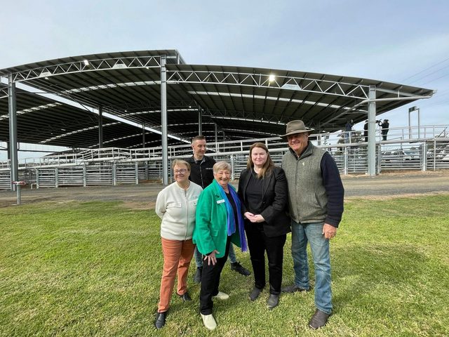 Gunnedah Saleyards