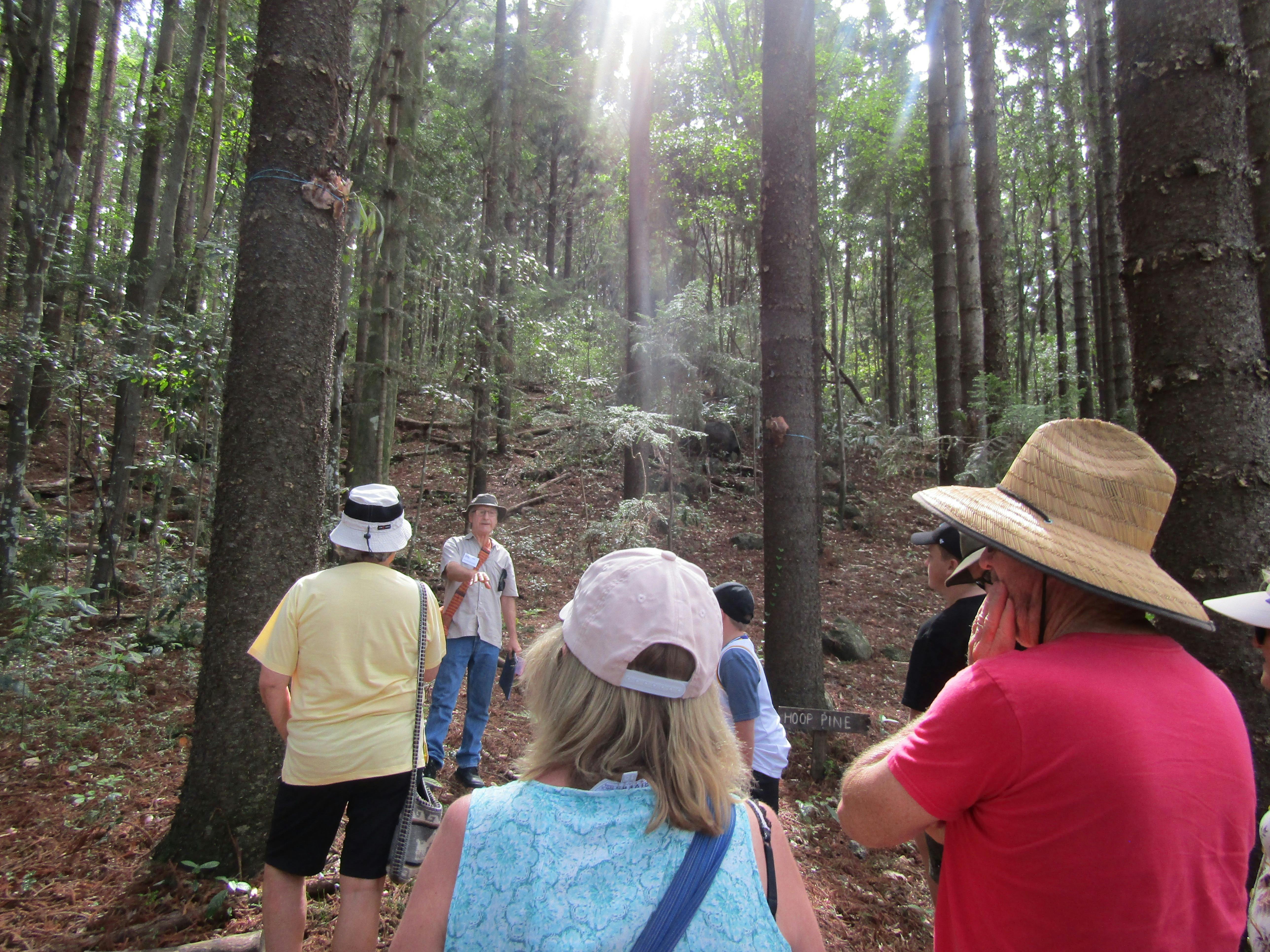 Guided Walk in the gardens