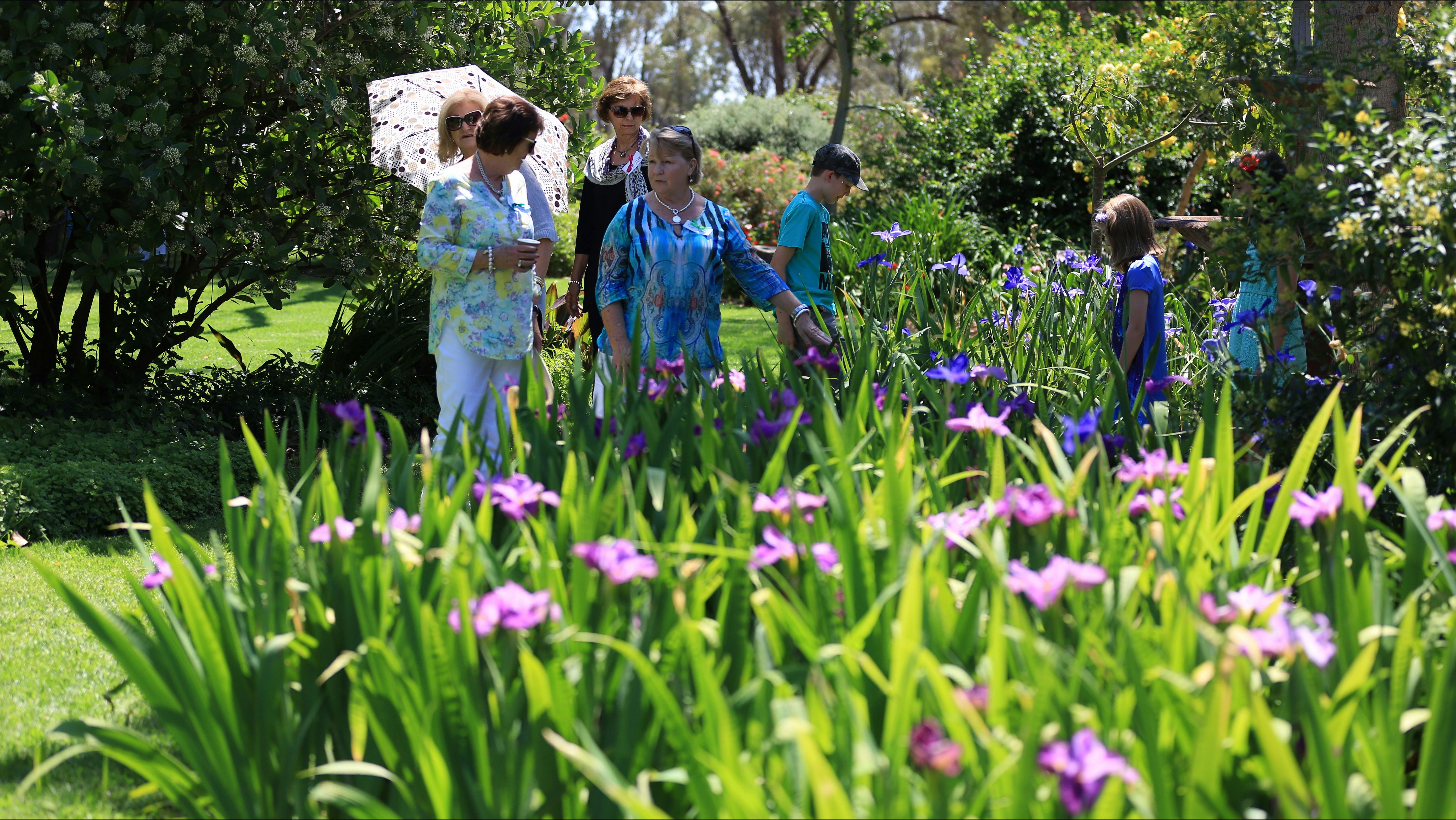 Griffith Spring Fest garden talk