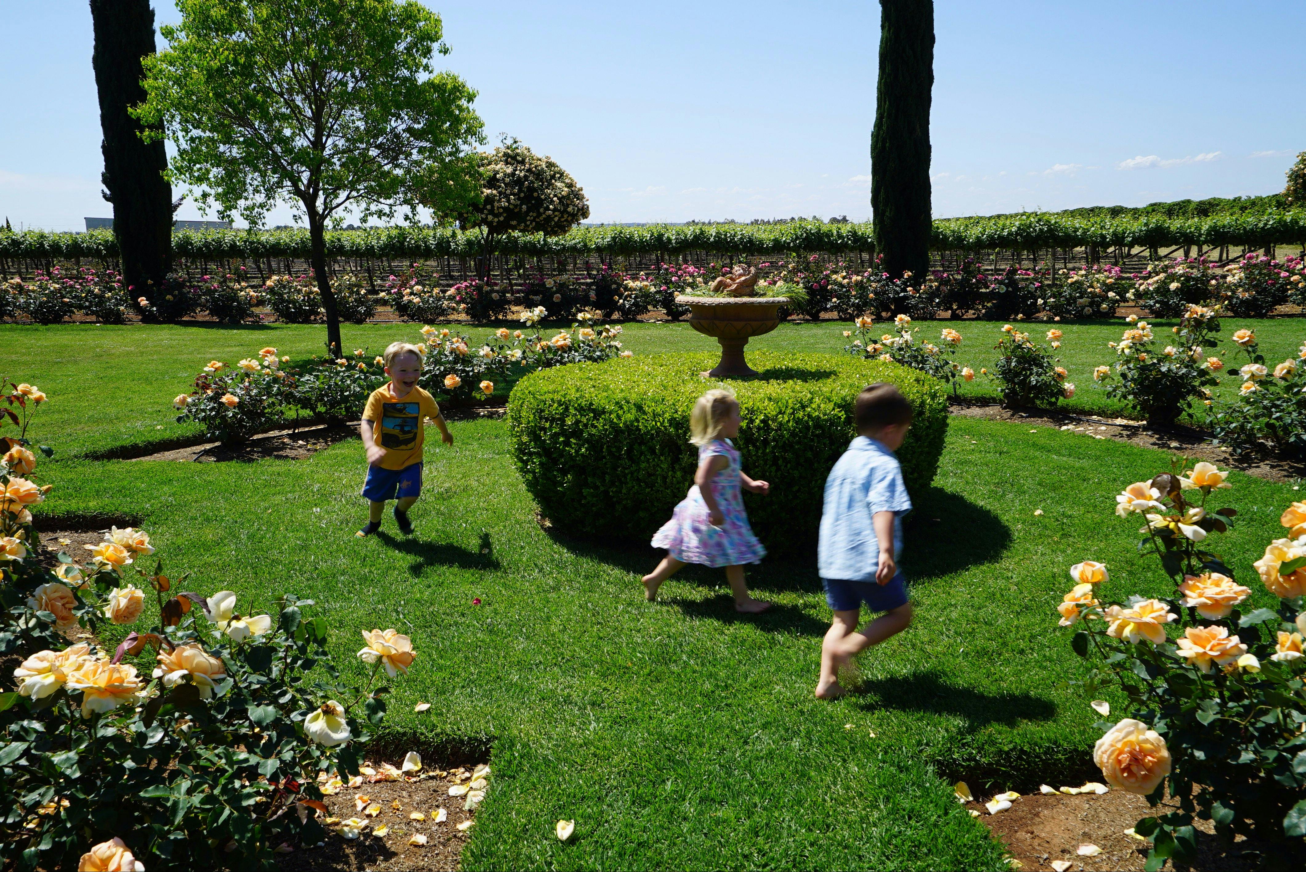 Children playing in the garden