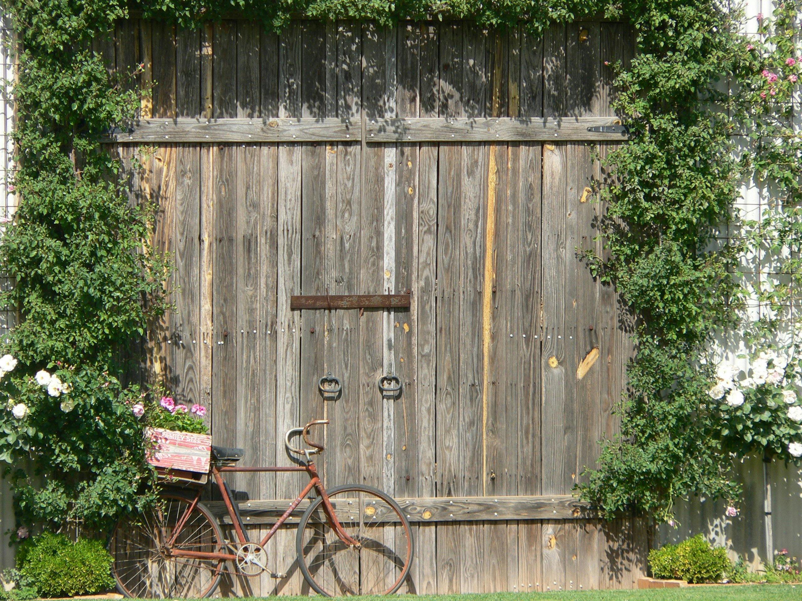 Explore beautiful gardens