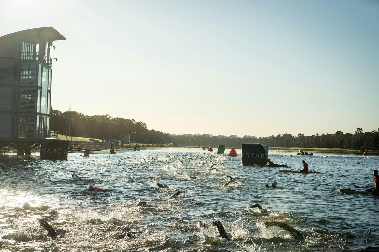 Swimmers