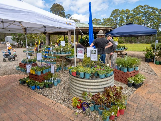 Native Plant Sale and Open Day at Kangarutha Farm