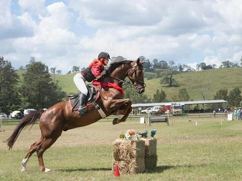 Gresford Agricultural Show