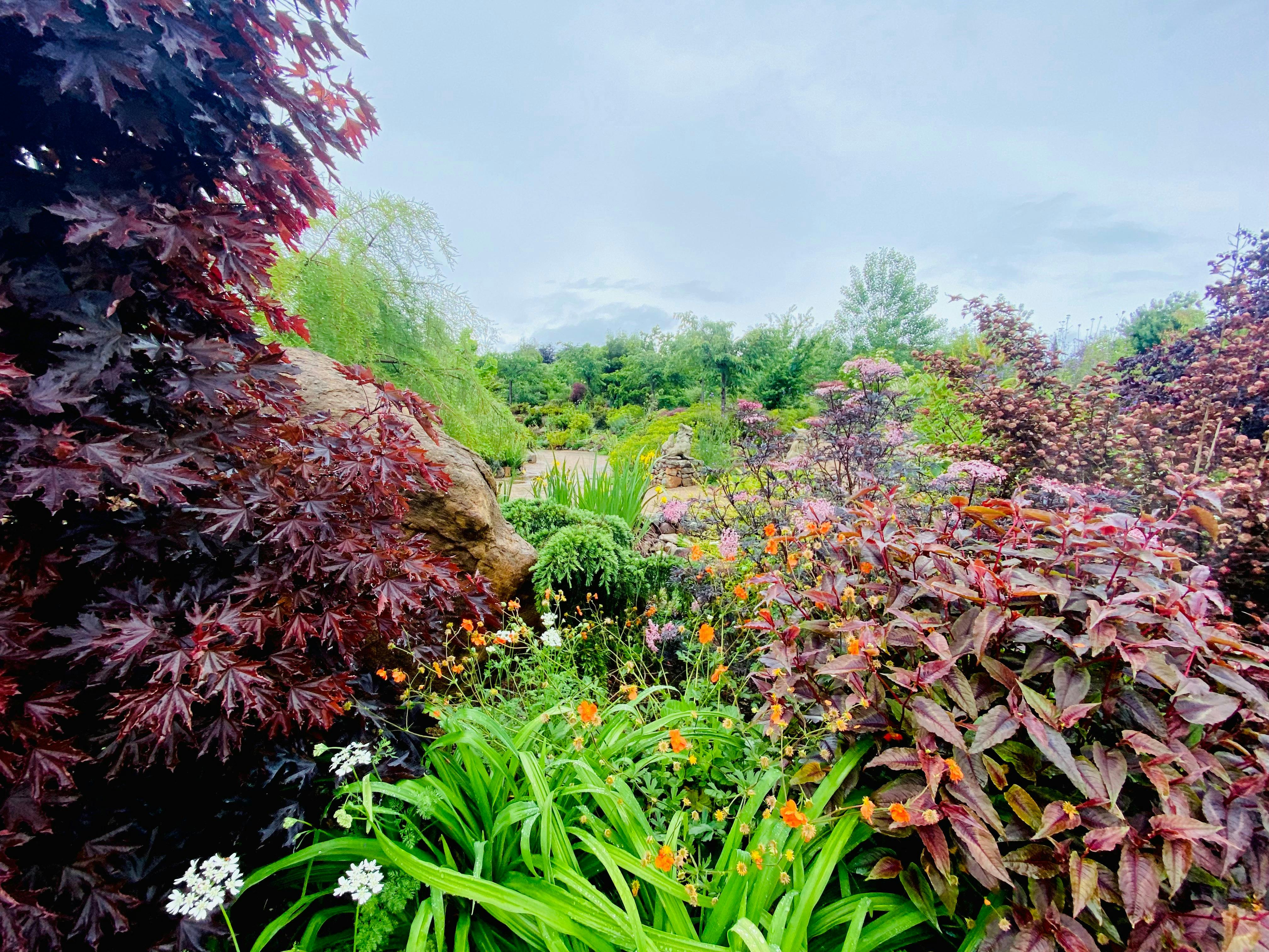 the beautiful foliage colours at one of the gardens in this years garden festival.