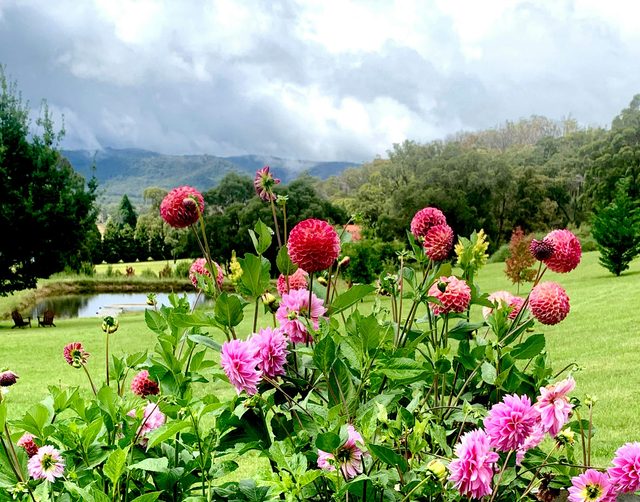 Hartley Valley Garden Festival and Plant Fair