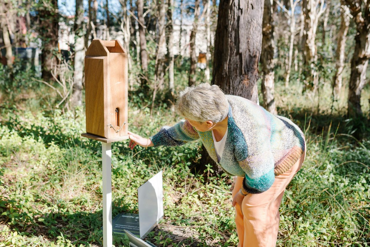 Inspecting a Native Bee Hive