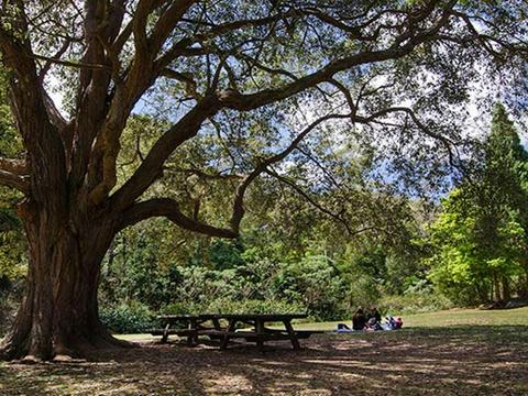 Byarong Park picnic area