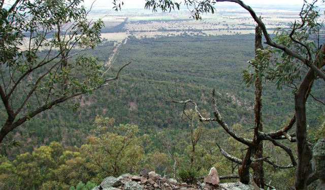 Burrabadine Walking Track