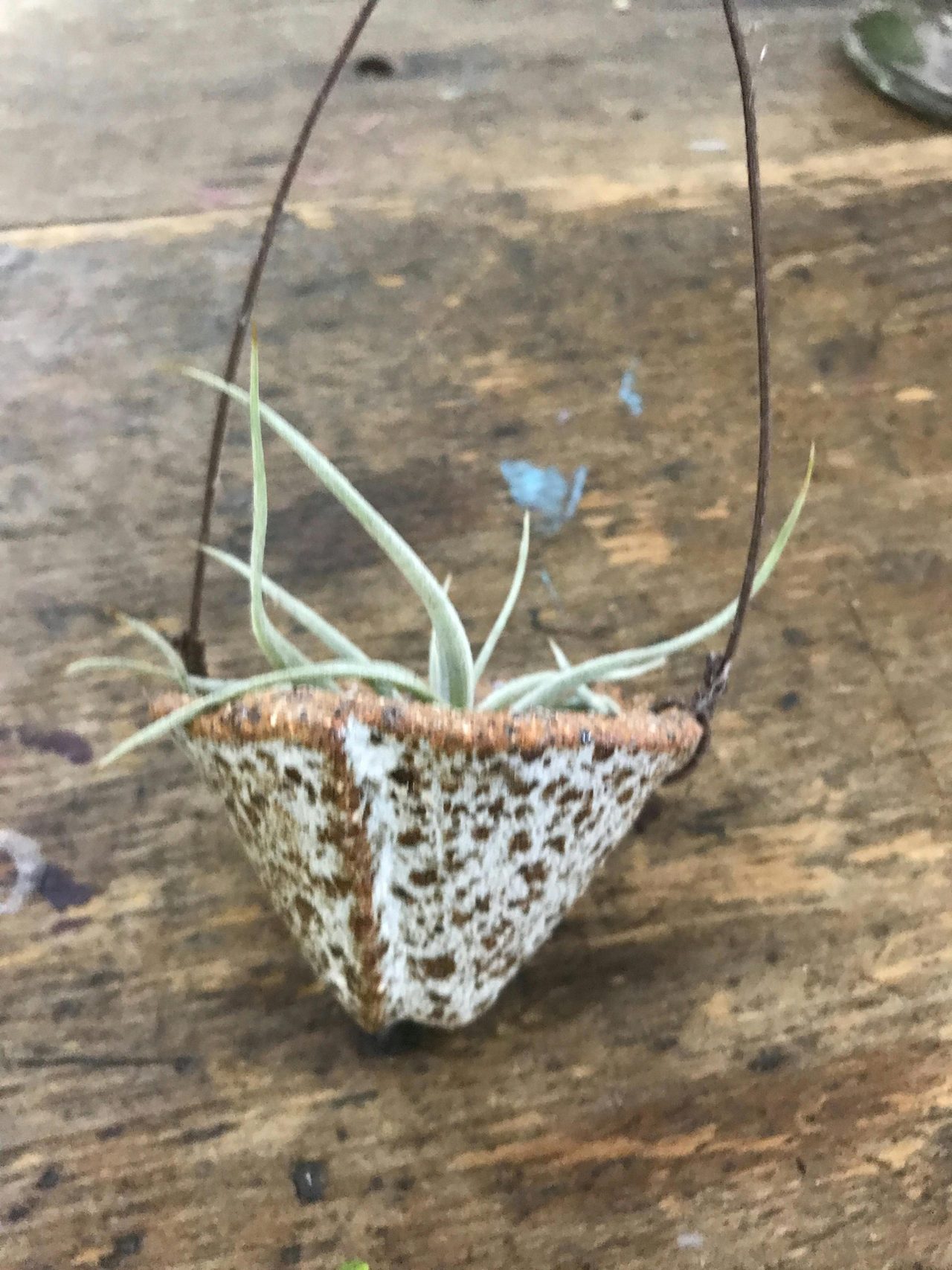 ceramics locally made