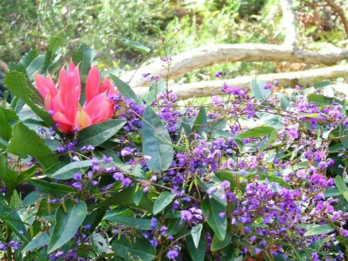 Burragorang State Conservation Area