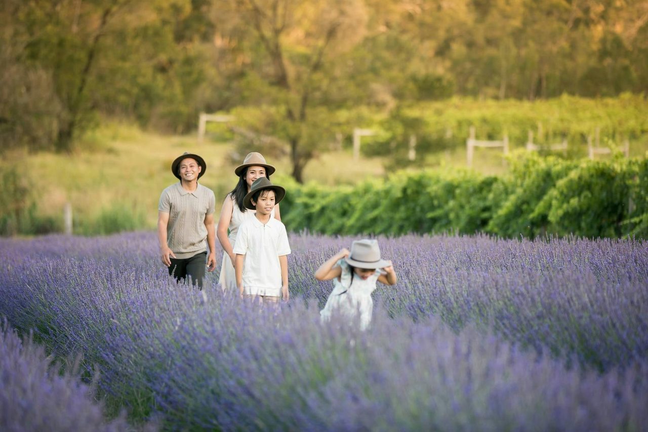 Laverder Fields in NSW