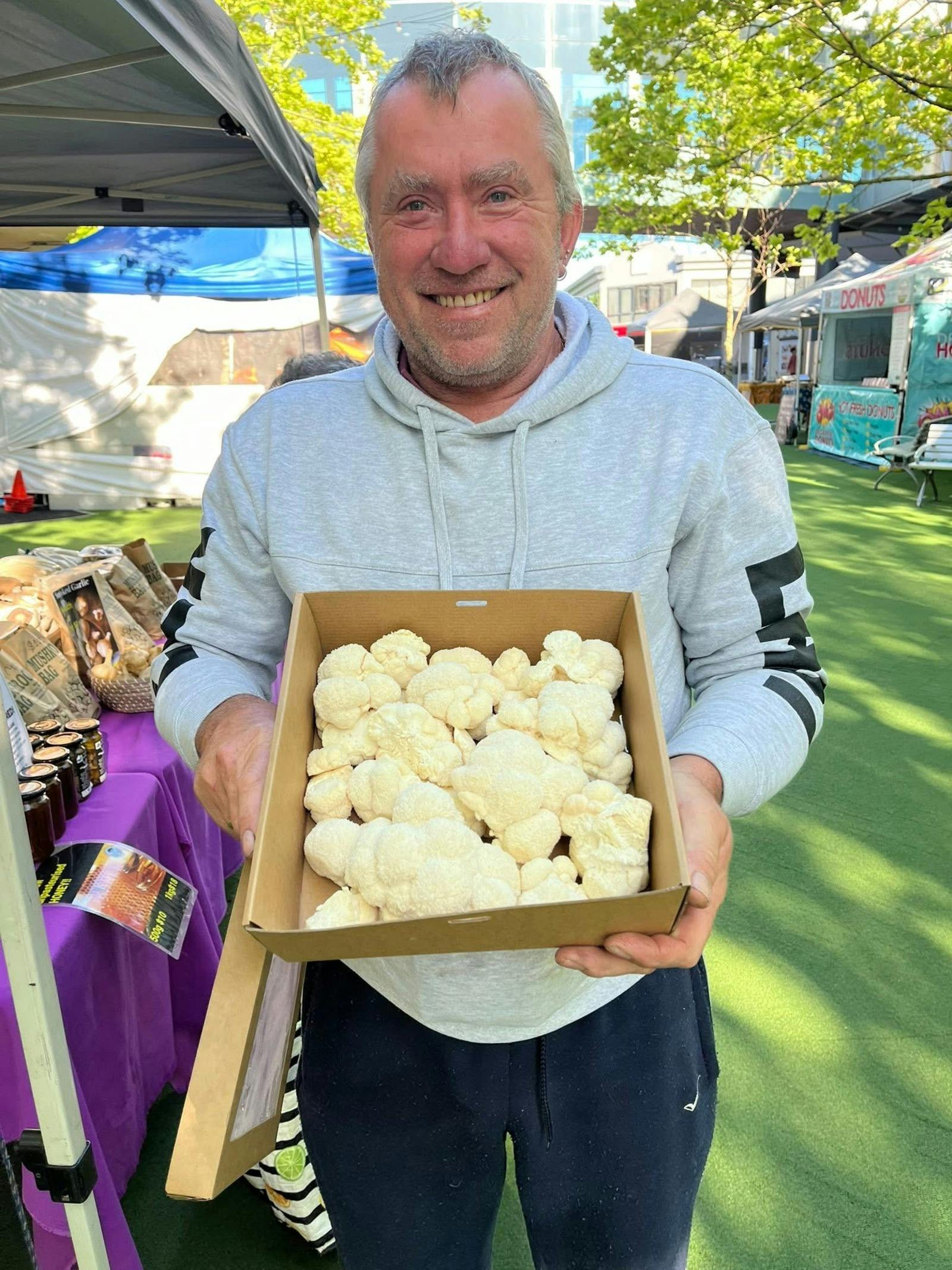 Freshly grown mushrooms